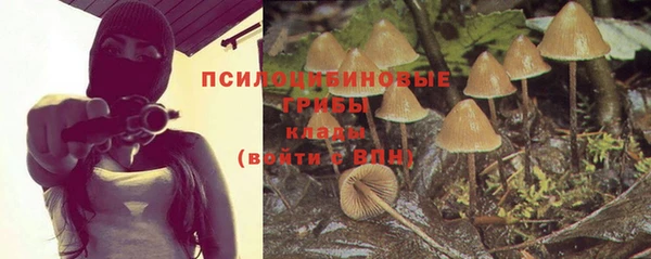 крисы Медногорск