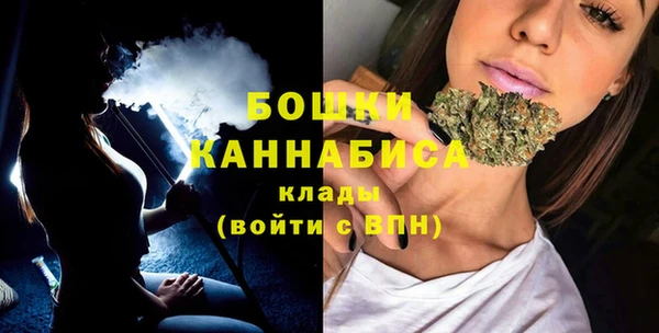 крисы Медногорск